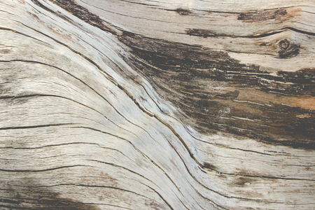 The pattern on old woodの写真素材