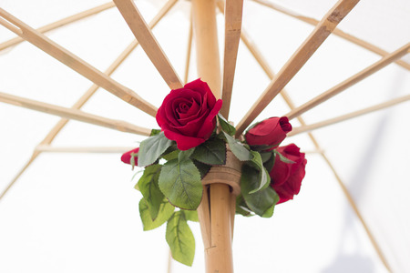 Beautiful red rose on umbrellaの写真素材
