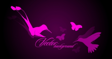 Vector pink hummingbirds のイラスト素材