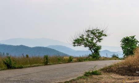 road to mountainの写真素材