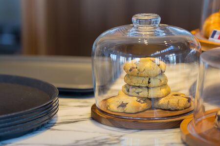 Homemade sweet Christmas tree under the glass domeの写真素材