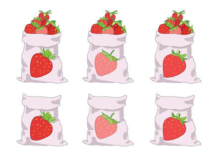 Strawberry in bag and multi-purpose on white background illustration vectorのイラスト素材