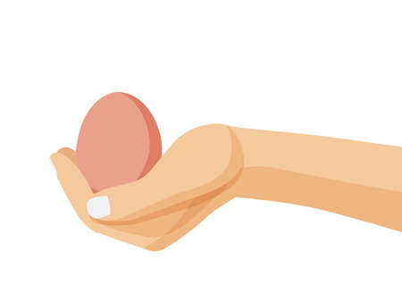fresh egg in human hand on white background illustration vectorのイラスト素材