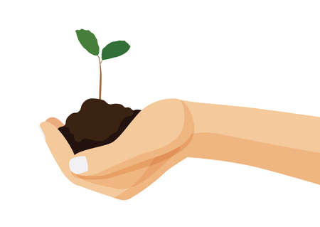 tree and soil in human hand on white background illustration vectorのイラスト素材