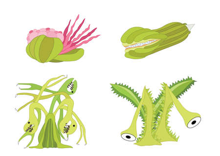 Carnivorous plants design green on white background illustration vectorのイラスト素材