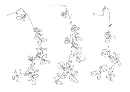 Leaves line single leaf and leaf pattern black Bring to color decorate on white background illustration  vectorのイラスト素材