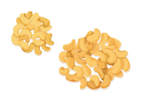 cashew nuts isolated on white background illustration vectorのイラスト素材