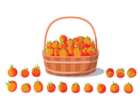 the tomatoes in the basket fruit fresh on white background illustration vectorのイラスト素材
