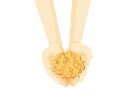 cashew nuts in hand isolated on white background illustration vectorのイラスト素材