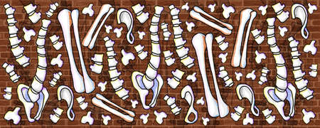 human skeleton and bone human pattern creative design wall paint