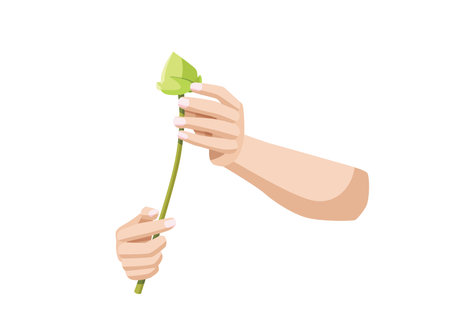 Lotus flower fresh in human hand two and isolated on white background illustration vectorのイラスト素材