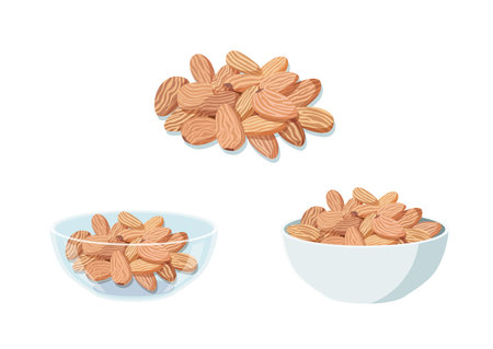 almond nuts in a clear glass cup and a white cup on white background illustration vectorのイラスト素材
