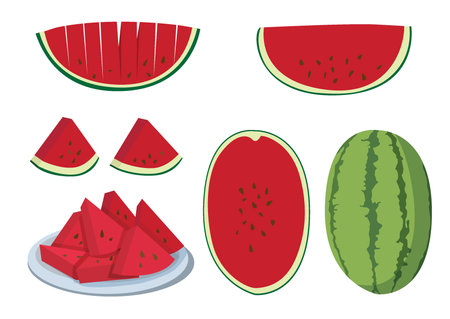 watermelon half fruit fresh and watermelon in the plate isolated on white background illustration vectorのイラスト素材