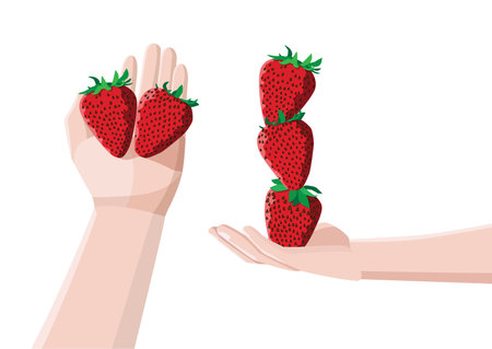 strawberry in hand on white background illustration vectorのイラスト素材
