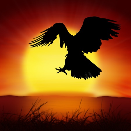 silhouette of eagle with big sun backgroundの写真素材