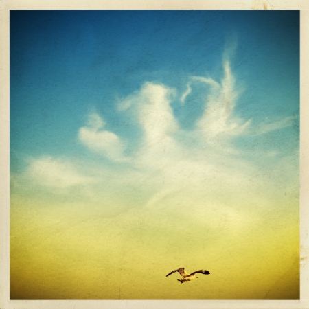 seagulls in the sky on an old grunge paperの写真素材