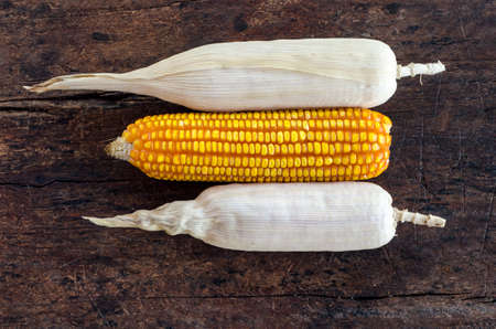 Bunch of corn cobs on a wooden background.