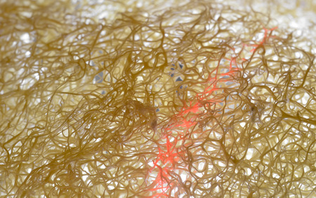 Abstract light painting loofah background.close-up.の写真素材