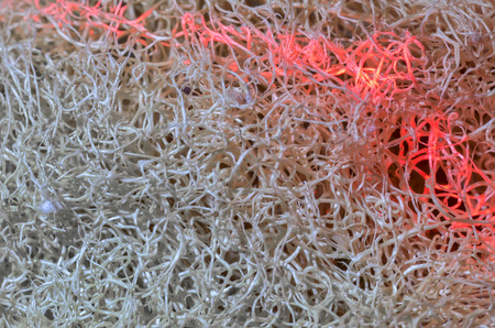 Abstract light painting loofah background.close-up.