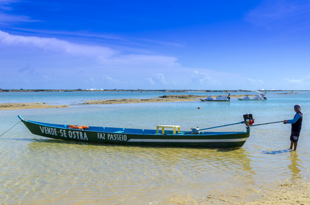 BARRA DO SAO MIGUEL BEACH, BRAZIL - DECEMBER 24 , 2014 One of the most amazing ,famous and beautiful beach protect by coral reefs near Maceio ,Alagoas ,Brazil on December 24 , 2014のeditorial素材