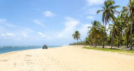 Unblemished beauty of the Gunga  beach , Alagoas state,Brazil .の写真素材