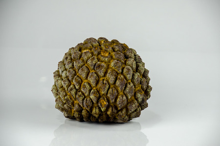 Marolo,  araticum or bruto fruit . Tropical  fruit of the original inhabitants of Brazil and...