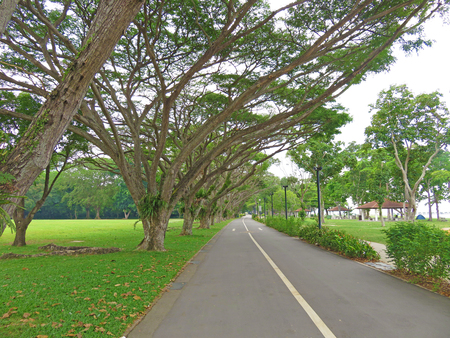 East Coast Park Singaporeの写真素材
