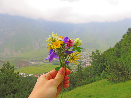 Small bouquet of summer flowers in hand. space for text. Green background of grass and mountains