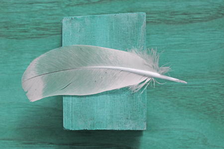 Feather is beautiful and light on a turquoise wooden background. Lightness, an angel's feather, surrealism.の写真素材