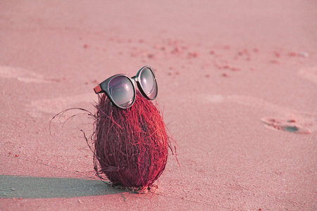 A pink coconut with sunglasses, on the beach and on the sea, against the background of sand. Asian natural and tropical fruits. Coconut rests on the sea. Design with copy space. Surrealistic design.の写真素材