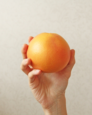 Grapefruit. The Fruit of the Grapefruit Lies on the Hand.の写真素材