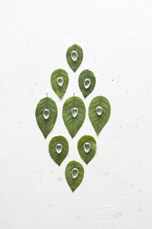 Green leaves from a rose. Natural stone rock crystal. Unusual, unreal, surrealism, nature, ecology.の写真素材