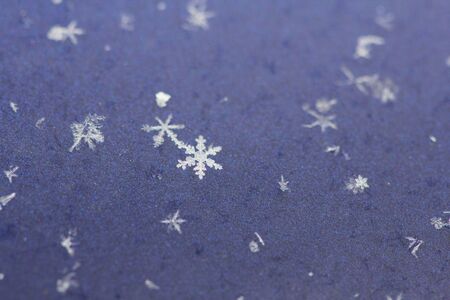 Snowflakes. Background of snow. Snow and winter background.