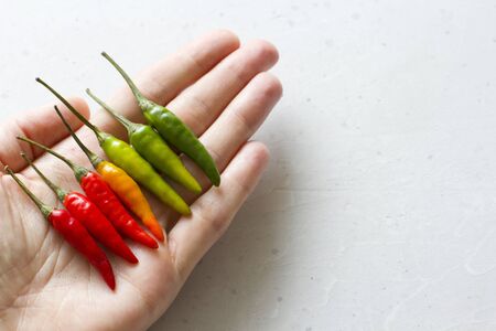 Red Hot Chili Peppers in The Hand On Background or White Table. A Lot of Red Chilli Peppers. Green, Yellow Hot Chili Peppers. Copy space for your text. Colorful chili pepper rainbow. Gradient.の写真素材