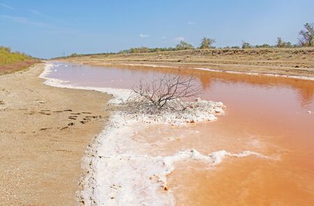 Salt in the lake, Crimea. Unusual salt objects on the lake