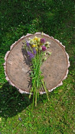 Summer wildflowers on wooden background. A beautiful summer bouquet on a wooden background. Chamomile, wild onion, Veronica long-leaved. Multicolored bouquet, motley grass. View from above, flat lay.の写真素材