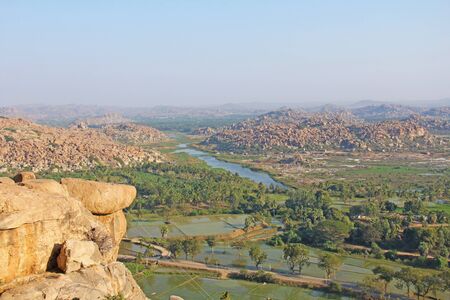 Green rice fields, palms and river Tungabhadra in the village of Hampi. Palm trees, the sun, rice fields. Tropical exotic landscape. Beautiful green valley. View from above.の写真素材
