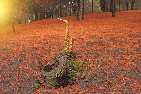 Golden Alto Saxophone in the Forest at the Foot of Mount Etna. The island of Sicily, Italy. Place for Text. Card. Romantic Saxophone.の写真素材