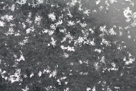 Snowflakes. Background of snow. Snow and winter background.