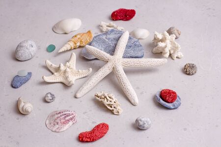 Beautiful white starfish, shells, red, white and blue corals, glass, sea pebbles lie on light gray modern concrete background. Concept of summertime on beach. Bright nautical postcard summer holidays.の写真素材