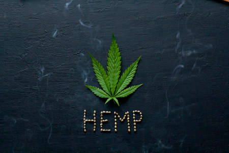 Green leaves and seeds of technical hemp lie on a black modern concrete background. Green background of leaves. Close-up young hemp. Green cannabis leaves, marijuana leaves. Copy space for your text.の写真素材