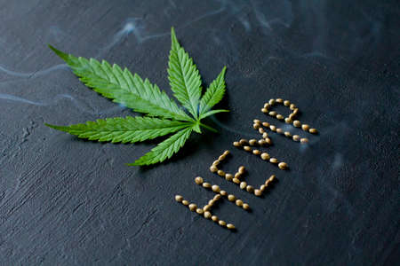 Green leaves and seeds of technical hemp lie on a black modern concrete background. Green background of leaves. Close-up young hemp. Green cannabis leaves, marijuana leaves. Copy space for your text.の写真素材