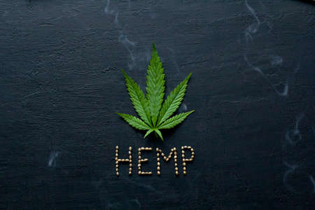 Green leaves and seeds of technical hemp lie on a black modern concrete background. Green background of leaves. Close-up young hemp. Green cannabis leaves, marijuana leaves. Copy space for your text.の写真素材