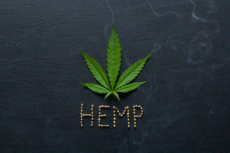 Green leaves and seeds of technical hemp lie on a black modern concrete background. Green background of leaves. Close-up young hemp. Green cannabis leaves, marijuana leaves. Copy space for your text.の写真素材