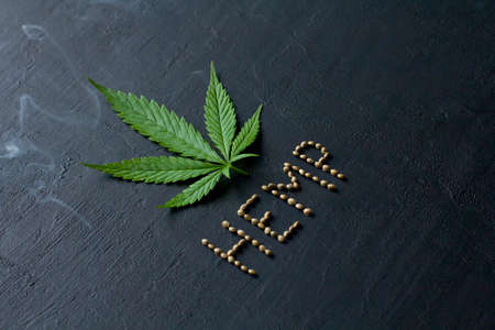 Green leaves and seeds of technical hemp lie on a black modern concrete background. Green background of leaves. Close-up young hemp. Green cannabis leaves, marijuana leaves. Copy space for your text.の写真素材