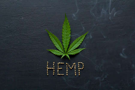 Green leaves and seeds of technical hemp lie on a black modern concrete background. Green background of leaves. Close-up young hemp. Green cannabis leaves, marijuana leaves. Copy space for your text.の写真素材