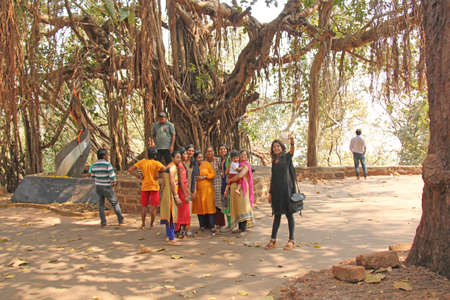 India, GOA, January 18, 2018. A group of Indian girls on a background of a large sacred banyan tree makes a selfie. Selfish on a smartphone or phone.のeditorial素材
