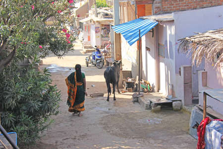 India, Hampi, 02 February 2018. The Indian Woman in the sari is walking down the street in the village of Hampi. A cow in the village street. Hampi, Vijayanagar, karnataka, unesco.のeditorial素材