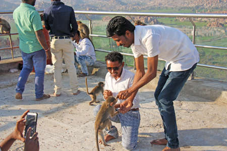 India, Hampi, January 31, 2018. Indian Men tourists feed monkeys with bananas on the hill of Anjaneya and Hanuman temple in Hampi. Monkeys take bananas.のeditorial素材