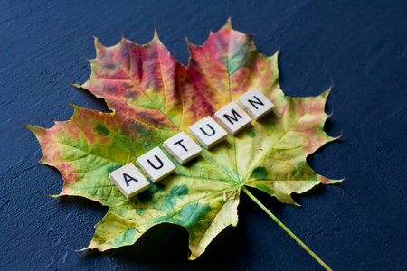 Blue, turquoise and pink corduroy background for decoration and postcards. Purple and violet colors. Bright horizontal background from corduroy fabric.の写真素材